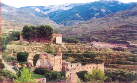 Panormica Ermita y Convento - Foto : Cedida por PANAL