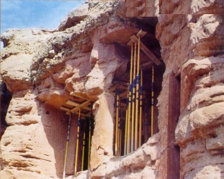 Palomares apuntalados - Foto: Cedida por PANAL