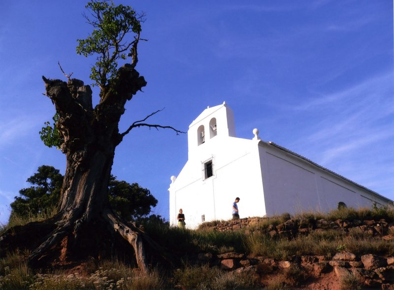 2º Premio.- Dª. Inma Mazo Sáenz